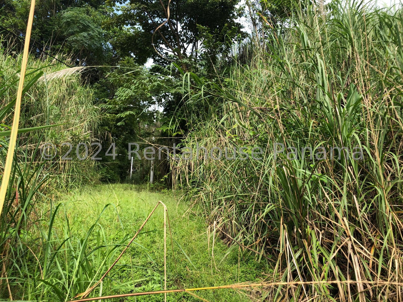 Land for Sale in Panama City Panamá Province 07104